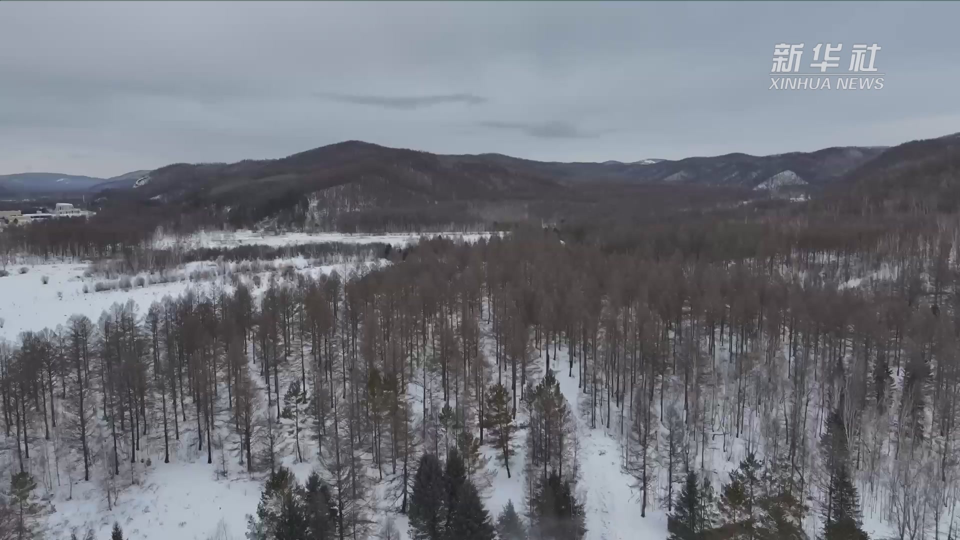 来鄂伦春 一起在林海雪原间载歌载舞