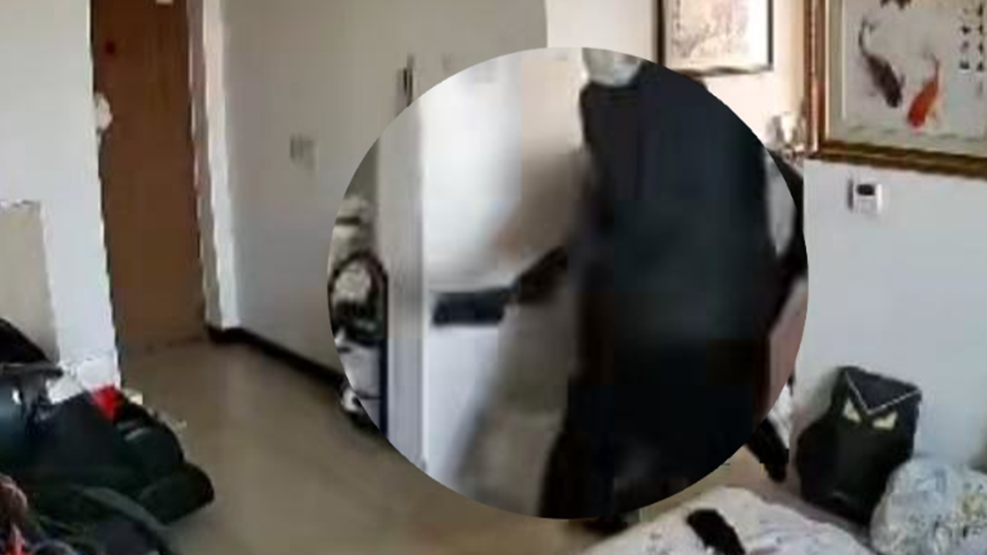 吓人！监控拍下女子家中被盗过程：小偷进屋后先到厨房拿刀，价值约3万的黄金首饰被偷，已报警