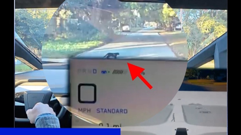 FSD神操作！Cybertruck停在路中央，竟是为了让小黑猫过马路