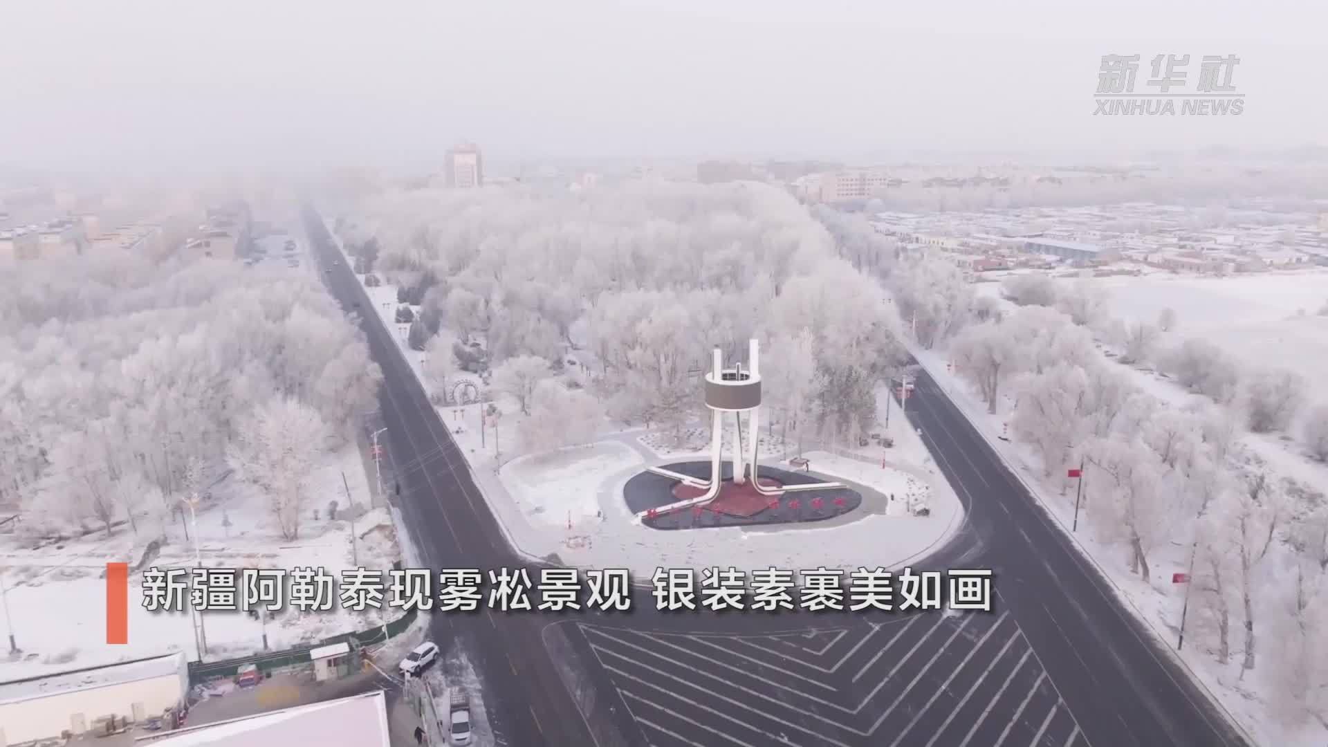新疆阿勒泰现雾凇景观 银装素裹美如画