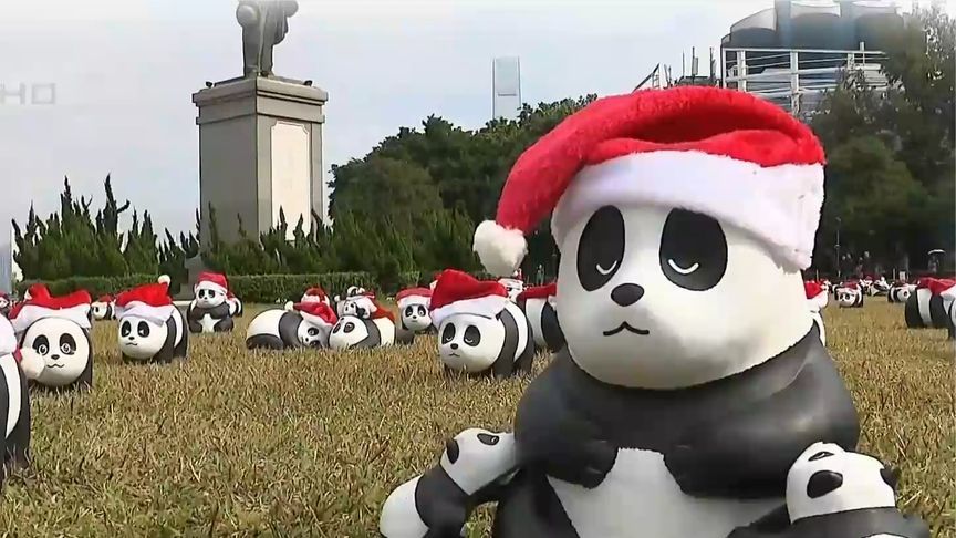 可爱含量超标！香港上千只熊猫雕塑戴上了圣诞帽