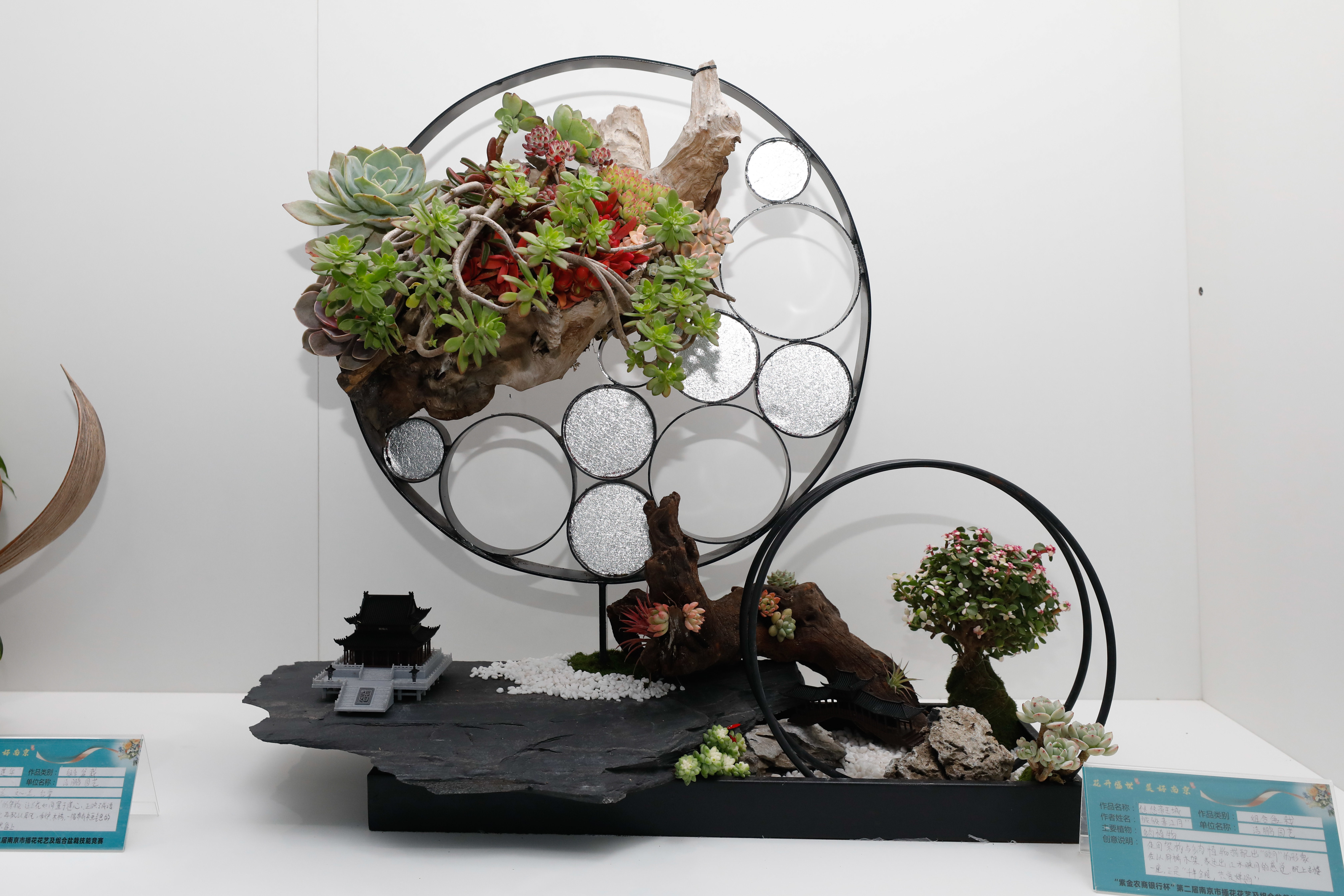 花满金陵,绽放美好生活!南京市第二届插花花艺及组合盆栽技能竞赛圆满举办