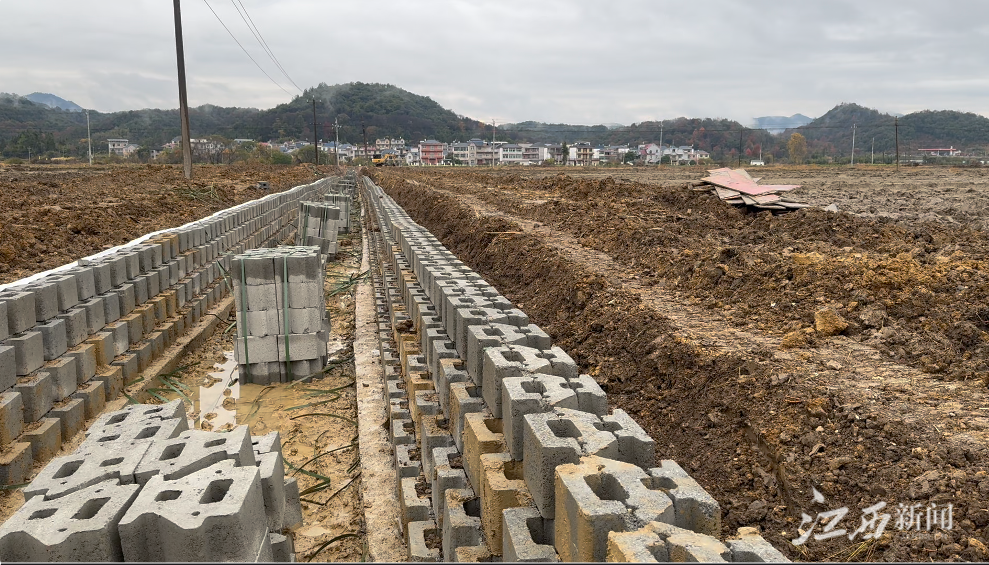 ▲南市街在田间修建水渠时，意外挖出千年陶瓷贸易街市遗存。