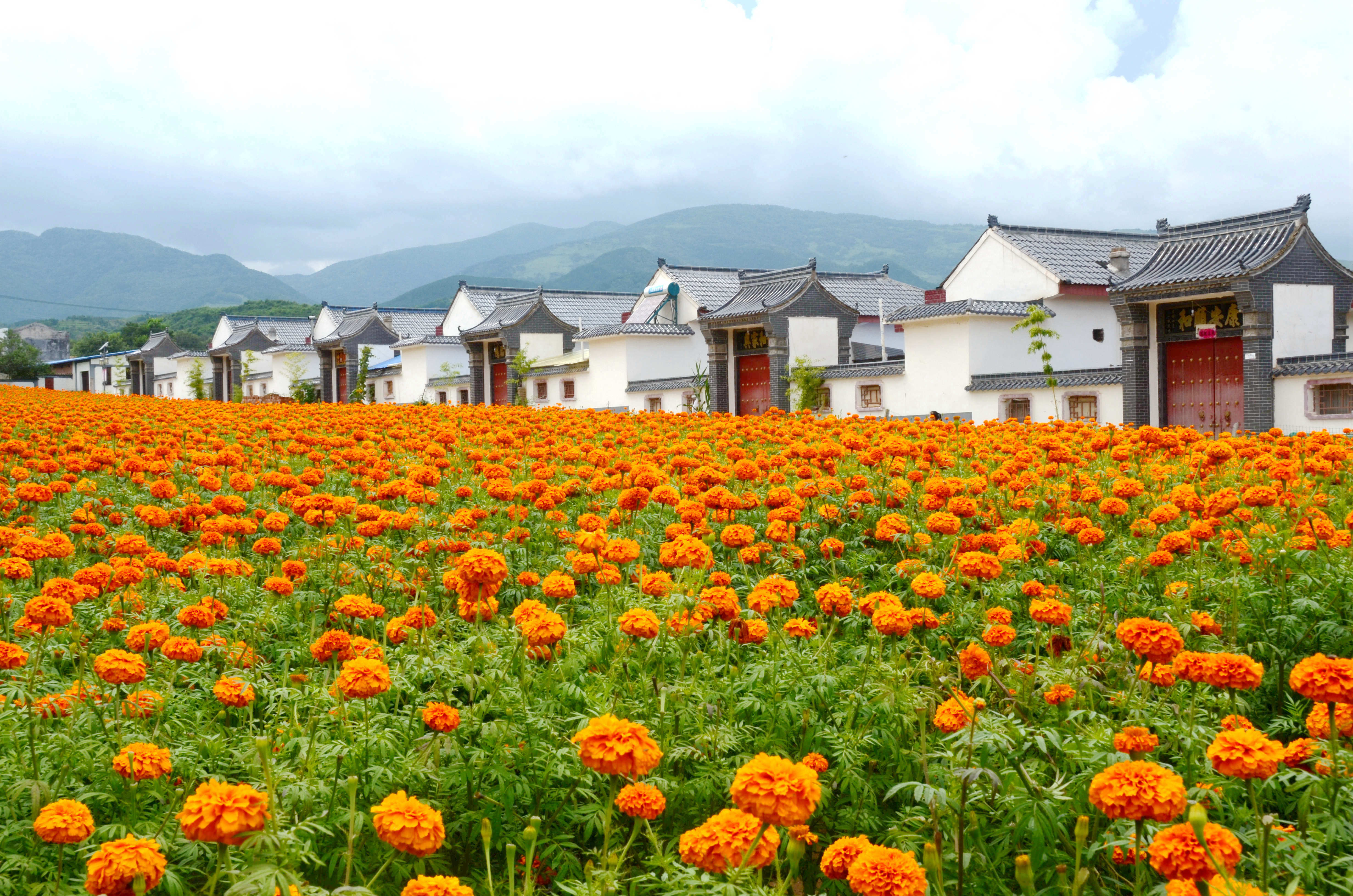 “十四五”收官之年 华亭如何交出“经”彩答卷