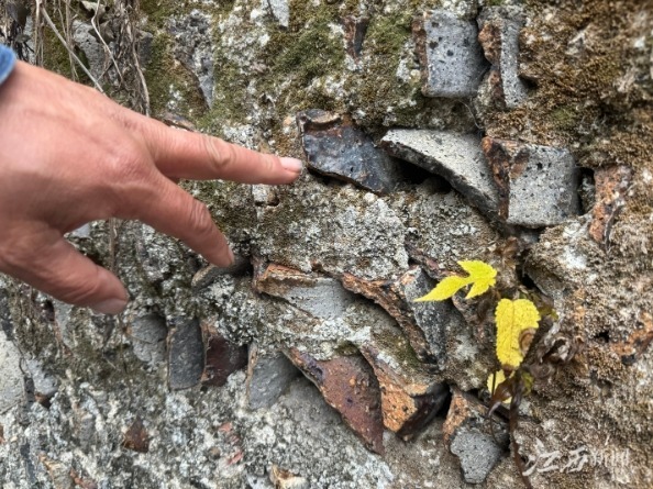 ▲废弃土坯房墙中的匣钵、窑砖等碎片，透出斑驳岁月。