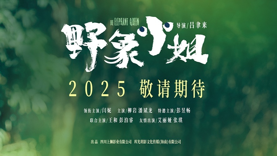 电影《野象小姐》贴片预告释放浓烈情感 闫妮彭昱畅诠释别样母子情封面图