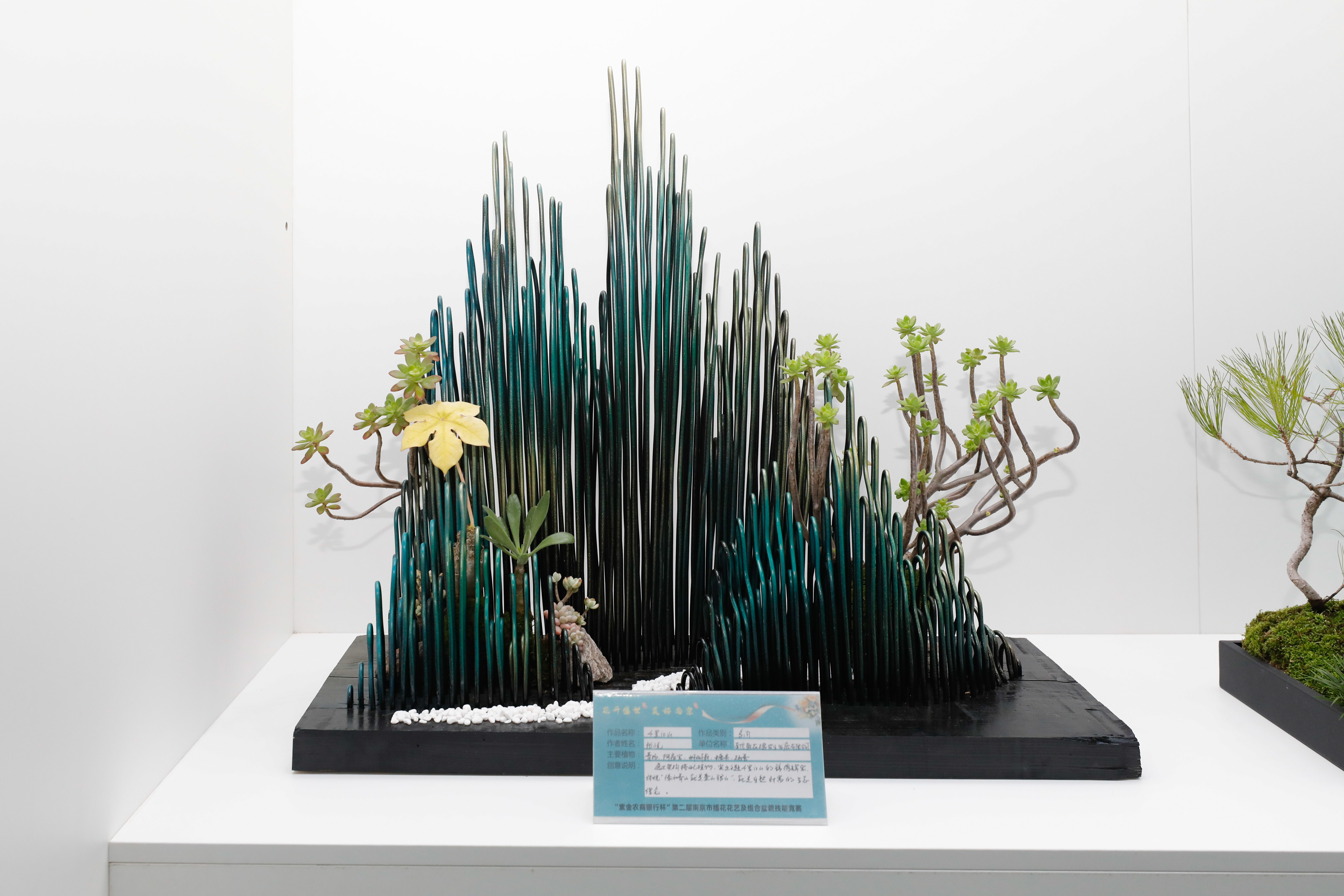 花满金陵,绽放美好生活!南京市第二届插花花艺及组合盆栽技能竞赛圆满举办