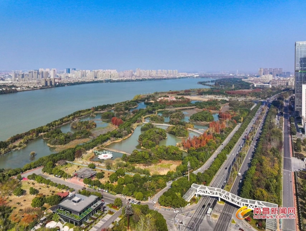 美不胜收！南昌艾溪湖湿地公园冬景如画（图）