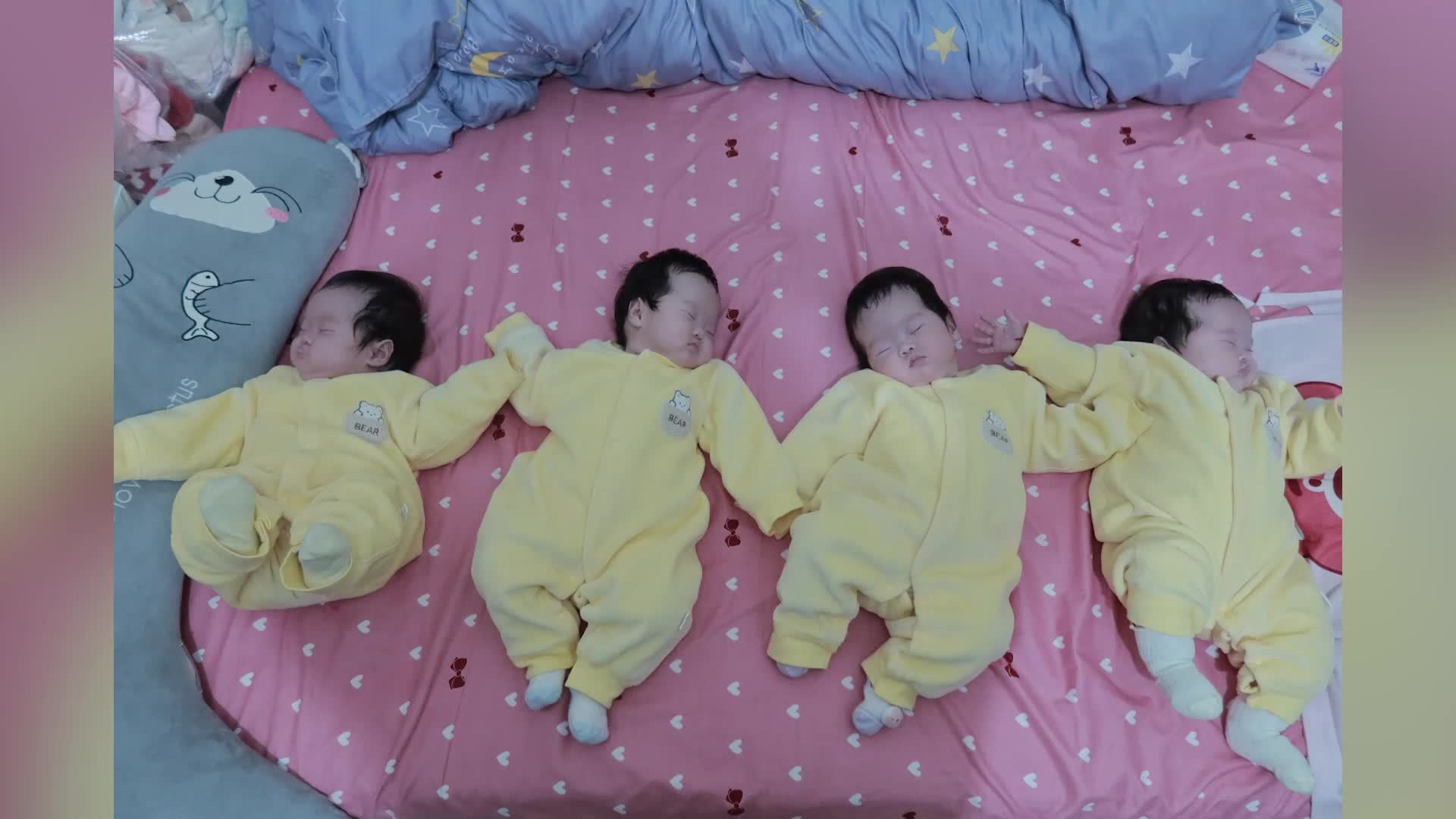 回访深圳宝妈三胎生下四胞胎：曾多次拒绝好心人收养，月开销远超1万