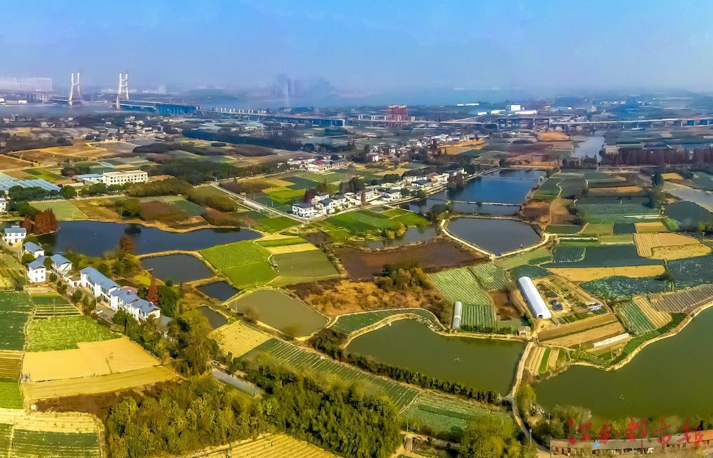 南昌：乡村“蝶变”换新颜（图）