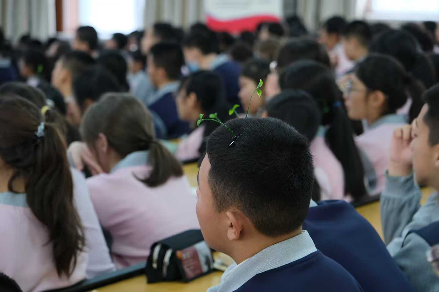 梦想种草中