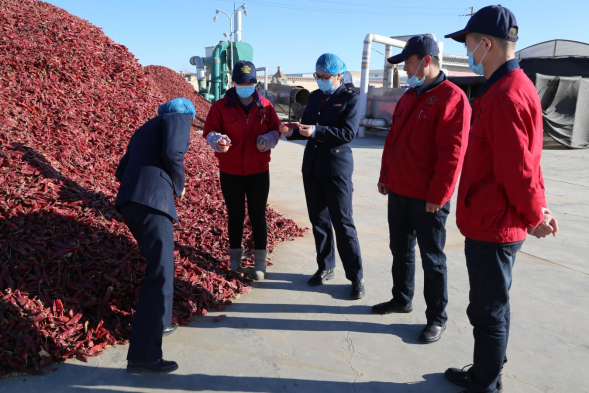 税务干部在甘肃兴农辣椒产业开发有限公司调研