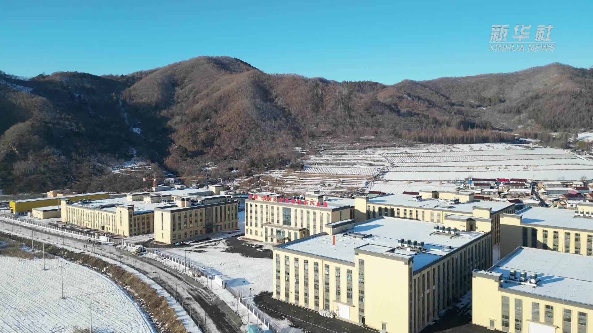 走进工厂搞科研｜人参发酵提升产品含“科”量