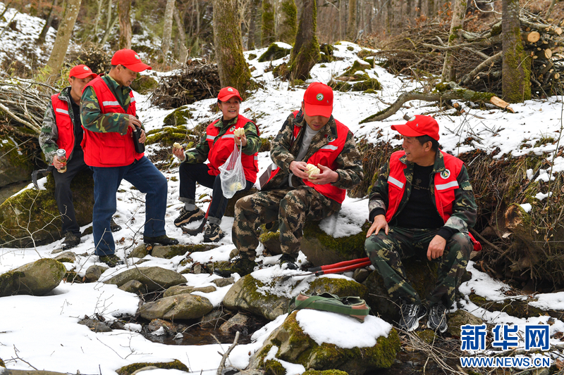 护林员坐在林区内的石头上短暂休息交流