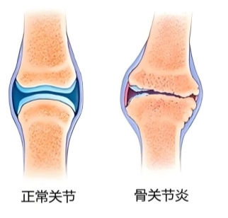 点击查看原始图片