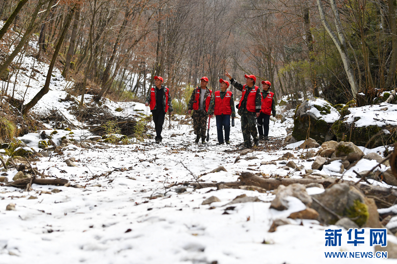 护林员步伐坚定，用足迹丈量小陇山的山山水水。
