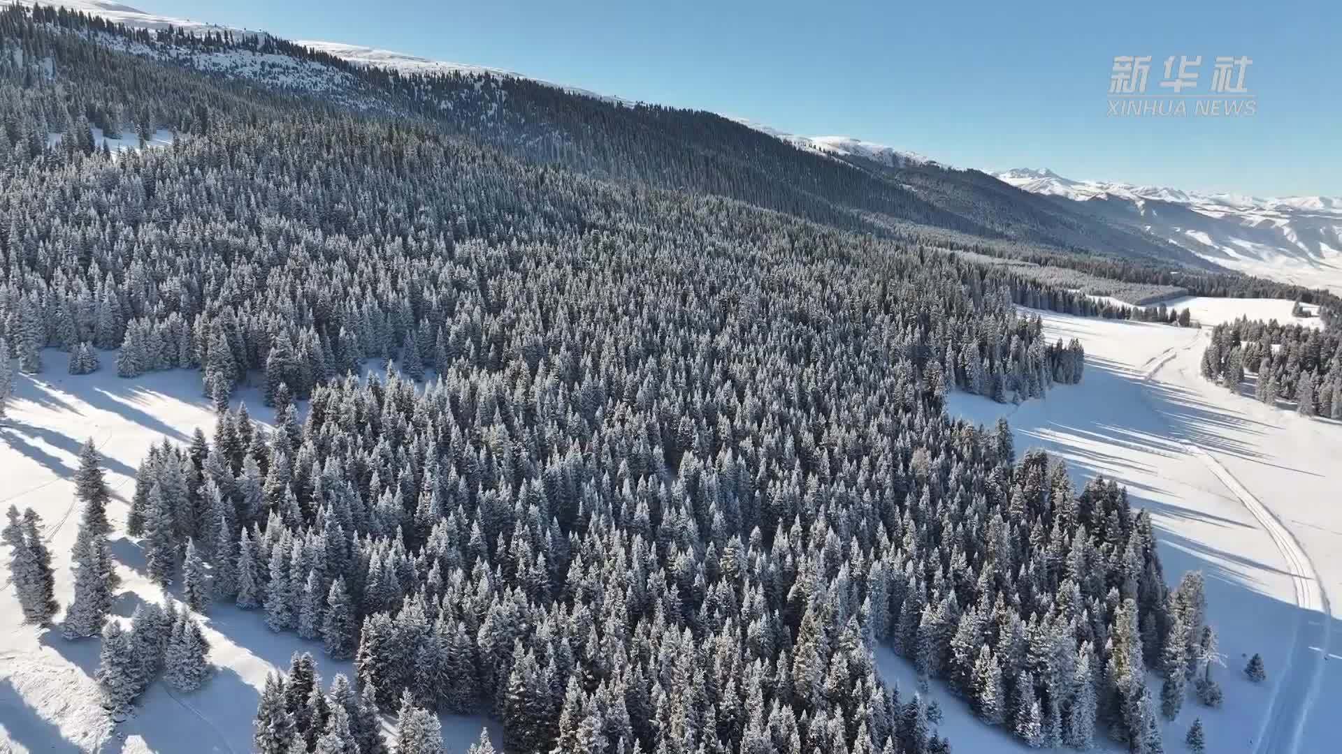 新疆昭苏：雪浴山峦映天际