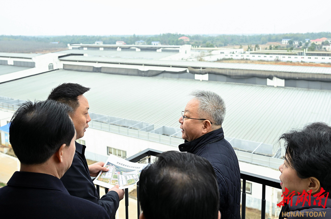 （12月23日，沈晓明在宁乡花猪养殖示范场调研。）