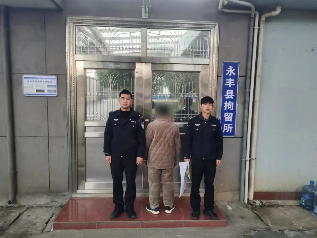 ▲张某已被公安机关依法行政拘留。