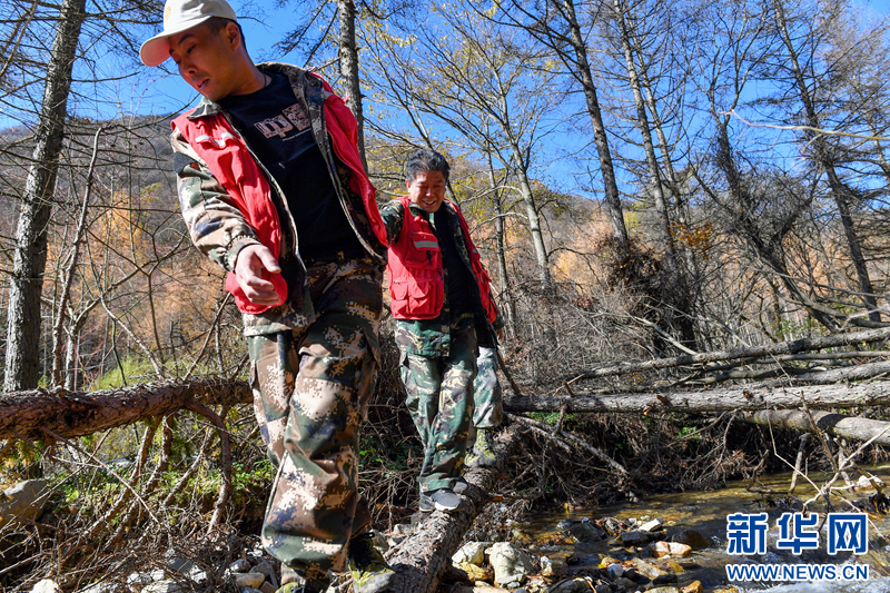 郝永全（后）和李亚飞相互搀扶走在山林里的独木桥上