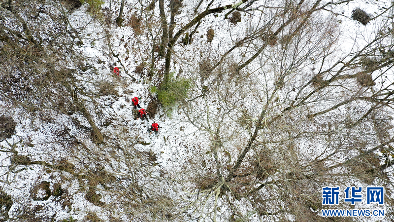 踏雪巡山，护林员的“红色”身影是山林中最美的风景（无人机照片）。