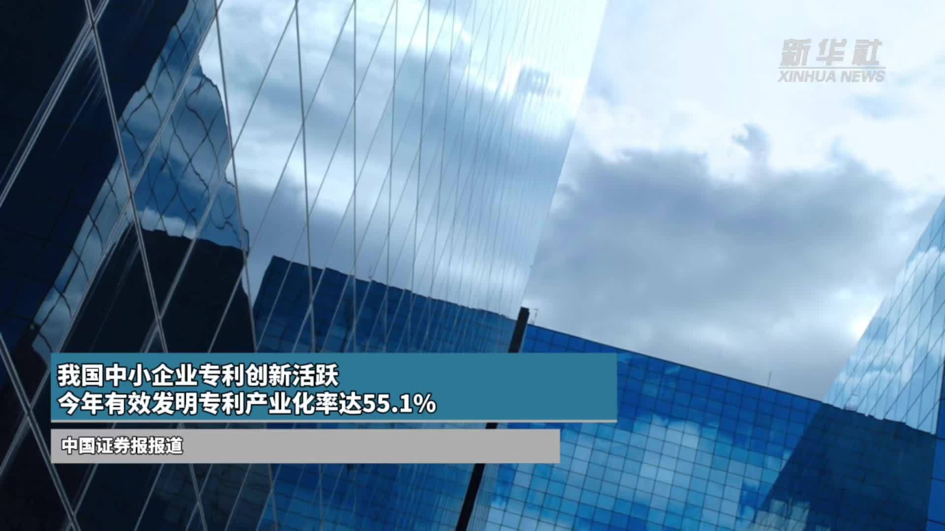 我国中小企业专利创新活跃 今年有效发明专利产业化率达55.1%