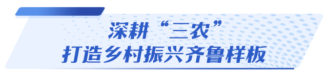 国家战略交汇叠加，经济大省山东如何勇挑大梁