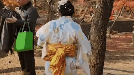 女子在南京植物园穿和服遭路人指责，园区：禁穿和服，已劝离