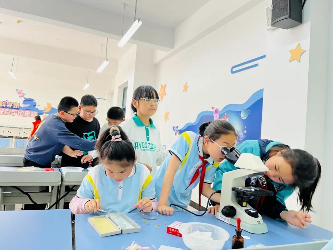 用科学之光，点燃少年梦想！云龙科学教育实力“吸睛”