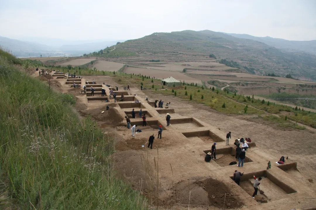 大堡子山考古现场