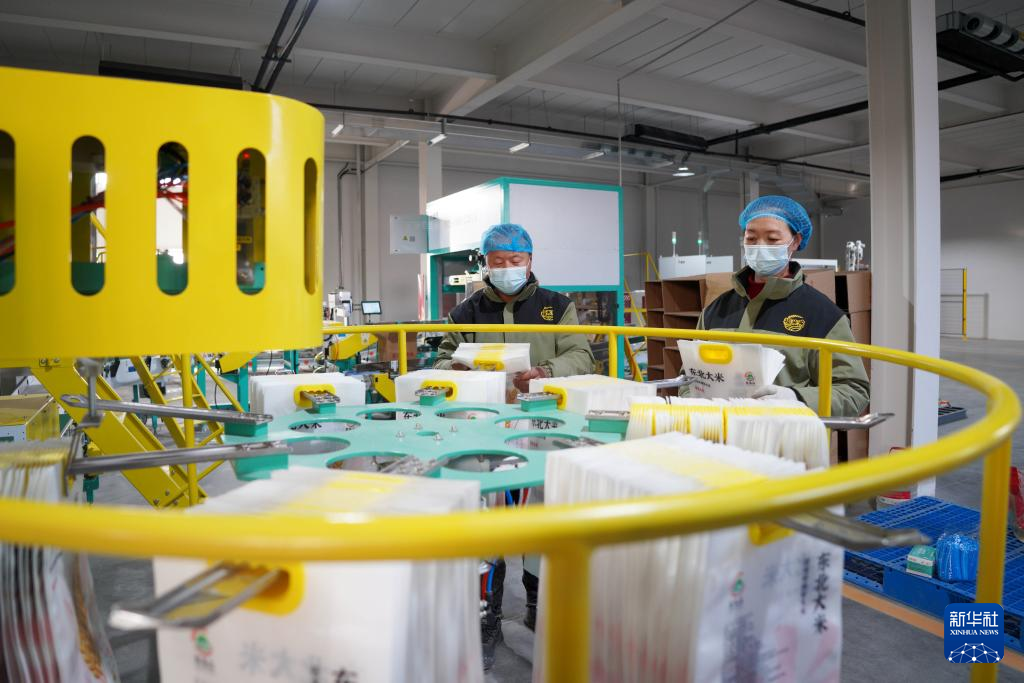 1月2日，在河北省邢台市内丘县工业园区的一家食品企业，工人在车间忙碌。新华社发（刘继东摄）