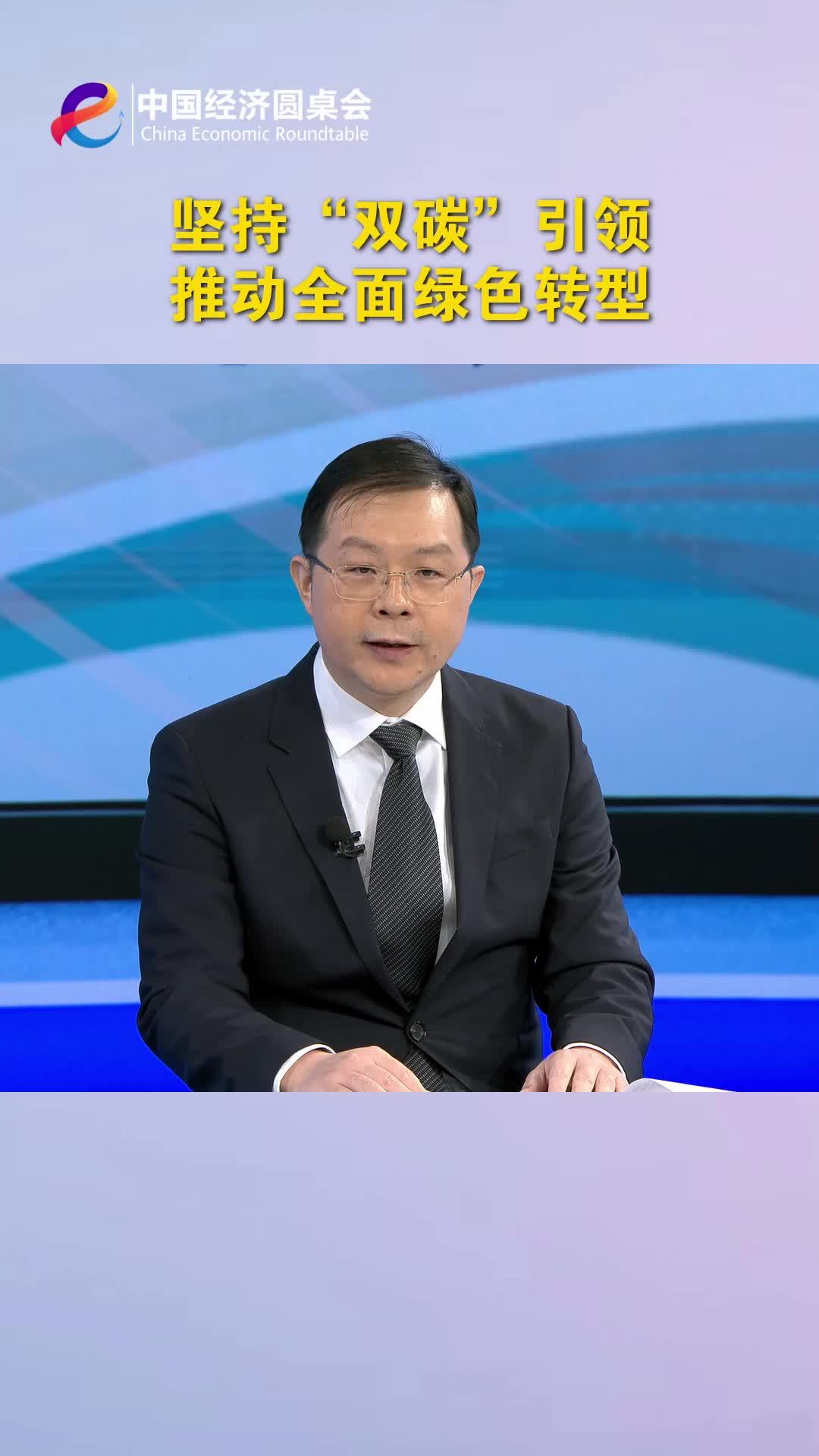 中国经济圆桌会｜坚持“双碳”引领，推动全面绿色转型