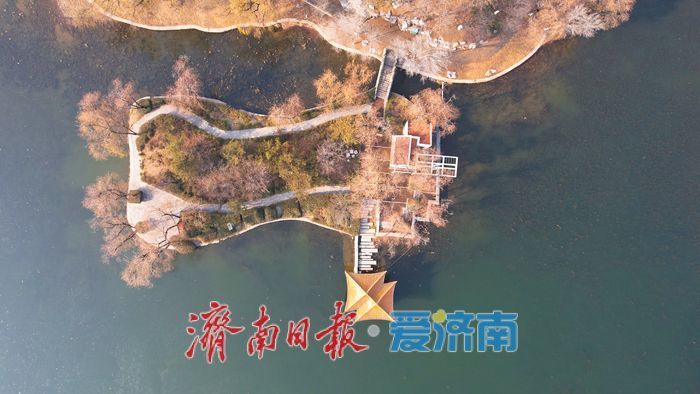 冬日红石映暖阳