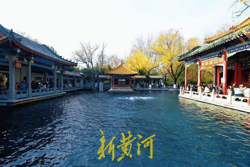 济南数九寒天暖如春 趵突腾空醉游人