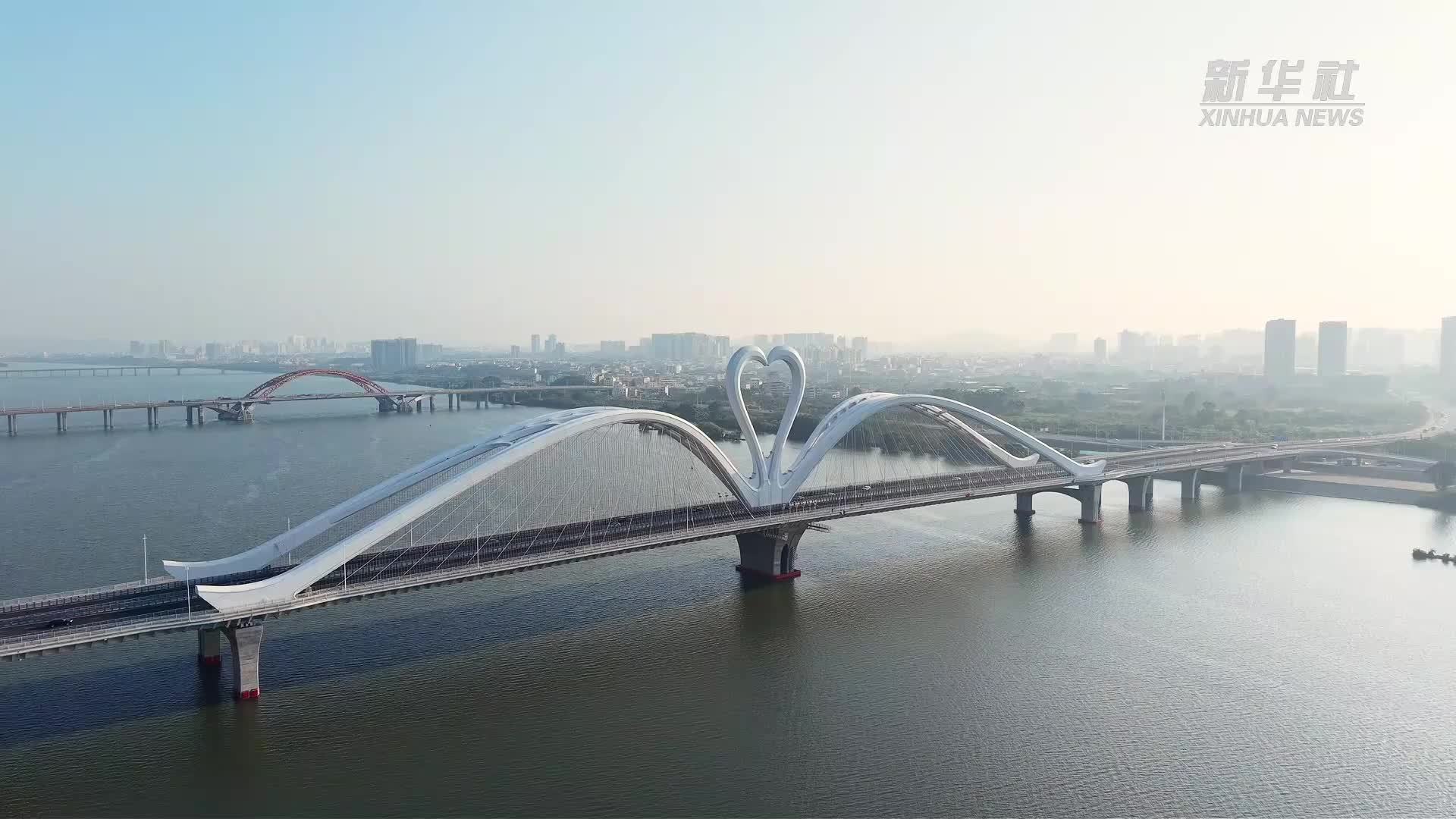 “天鹅”浮东江  惠州鹅城大桥成网红新地标