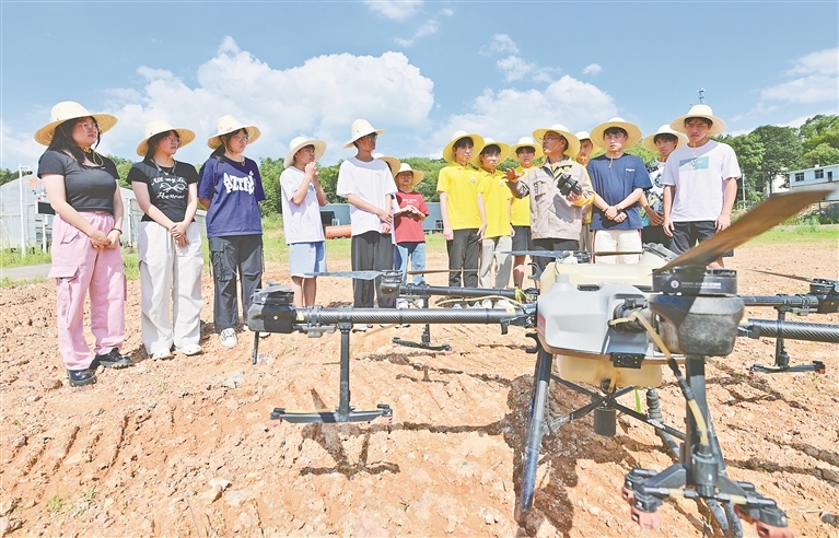 2024年7月4日，在萍乡市湘东区排上镇北村村水稻制种基地，制种大户戴中华指导学生使用无人机。