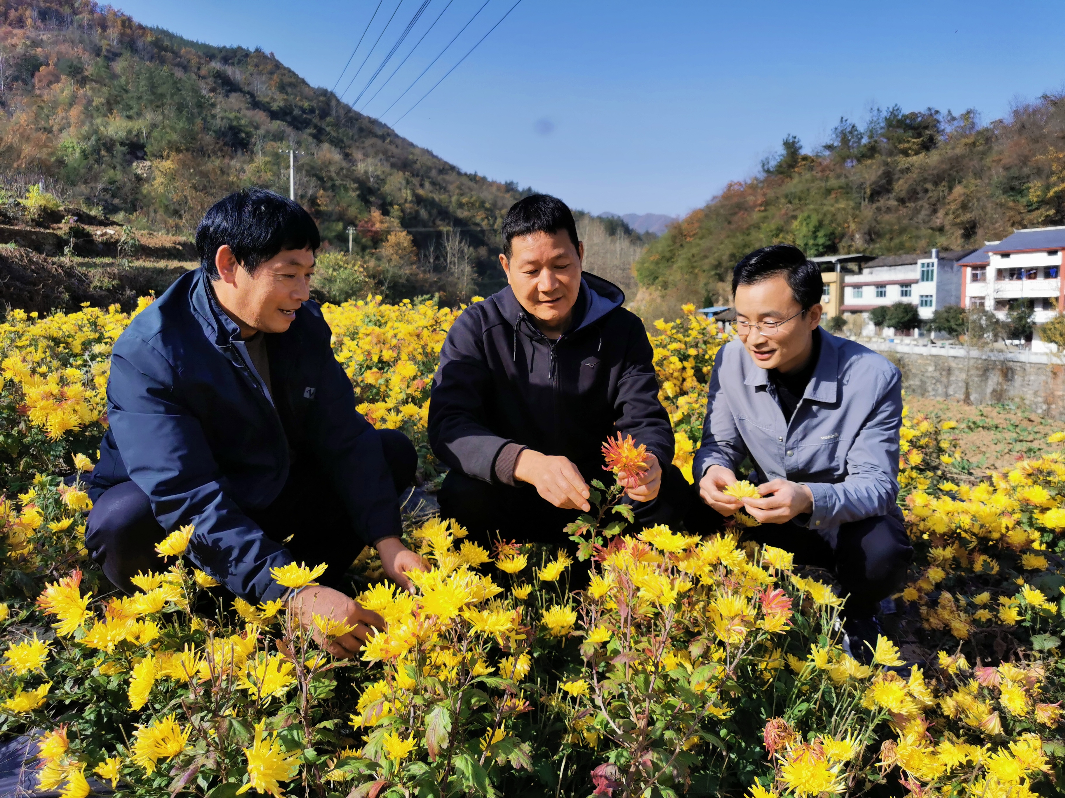 奋楫扬帆“十四五” 金融报国谱新篇——2025年中国人寿保险股份有限公司高质量发展回望