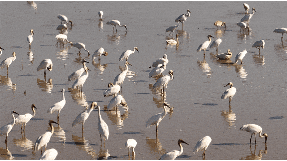 图源：南昌发布