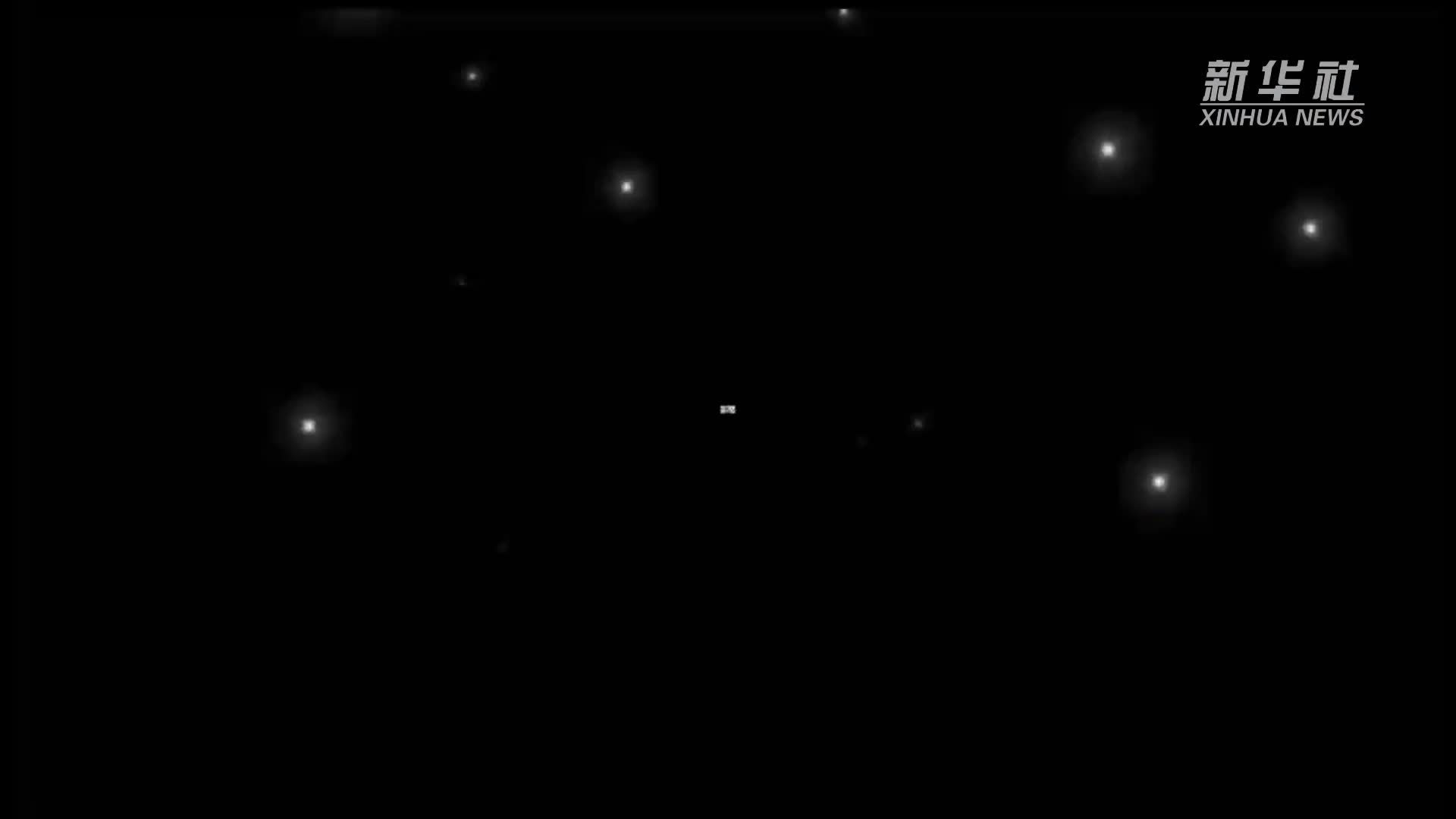 在华留学生：我的2025关键词