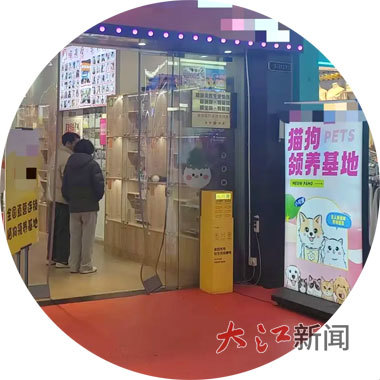 红谷滩万达金街一宠物店挂出猫狗领养招牌 陶春霞摄