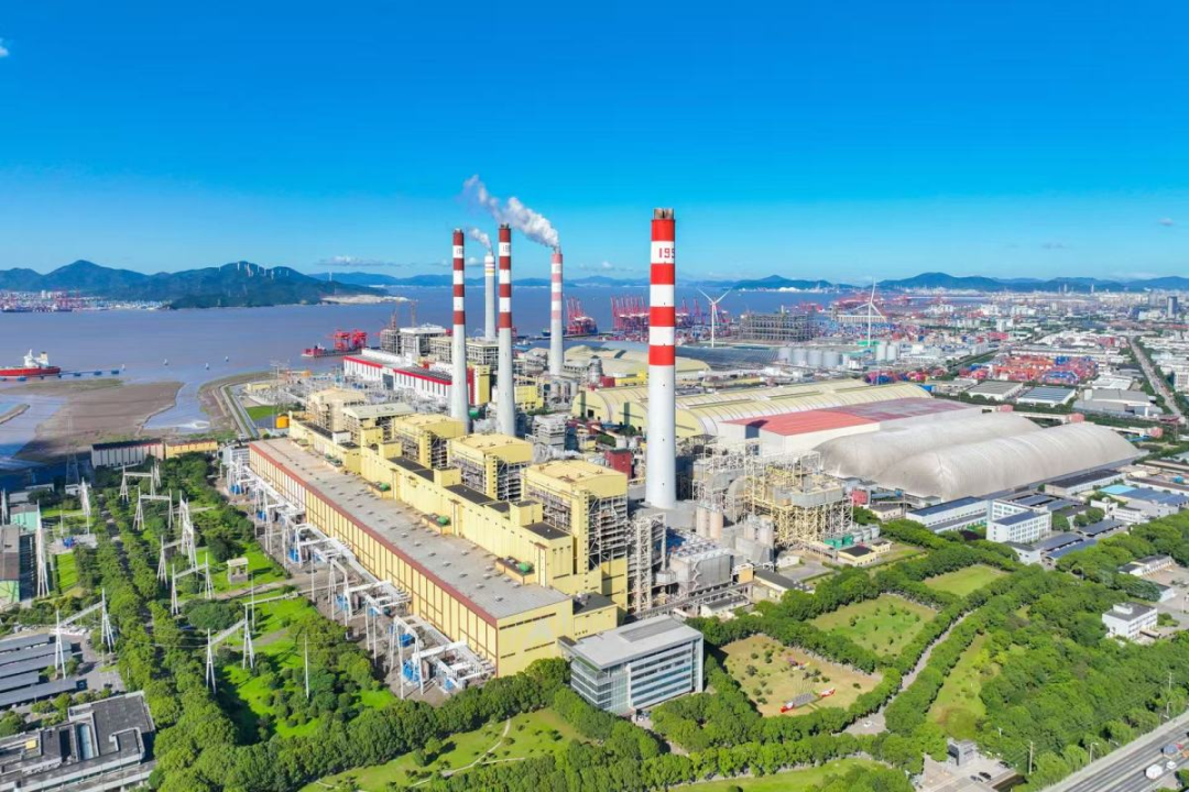 绿满港城——解码“哺绿促金”的北仑实践