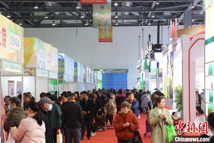 图为众多市民正在选购心仪的年货。中新社记者 熊锦阳 摄