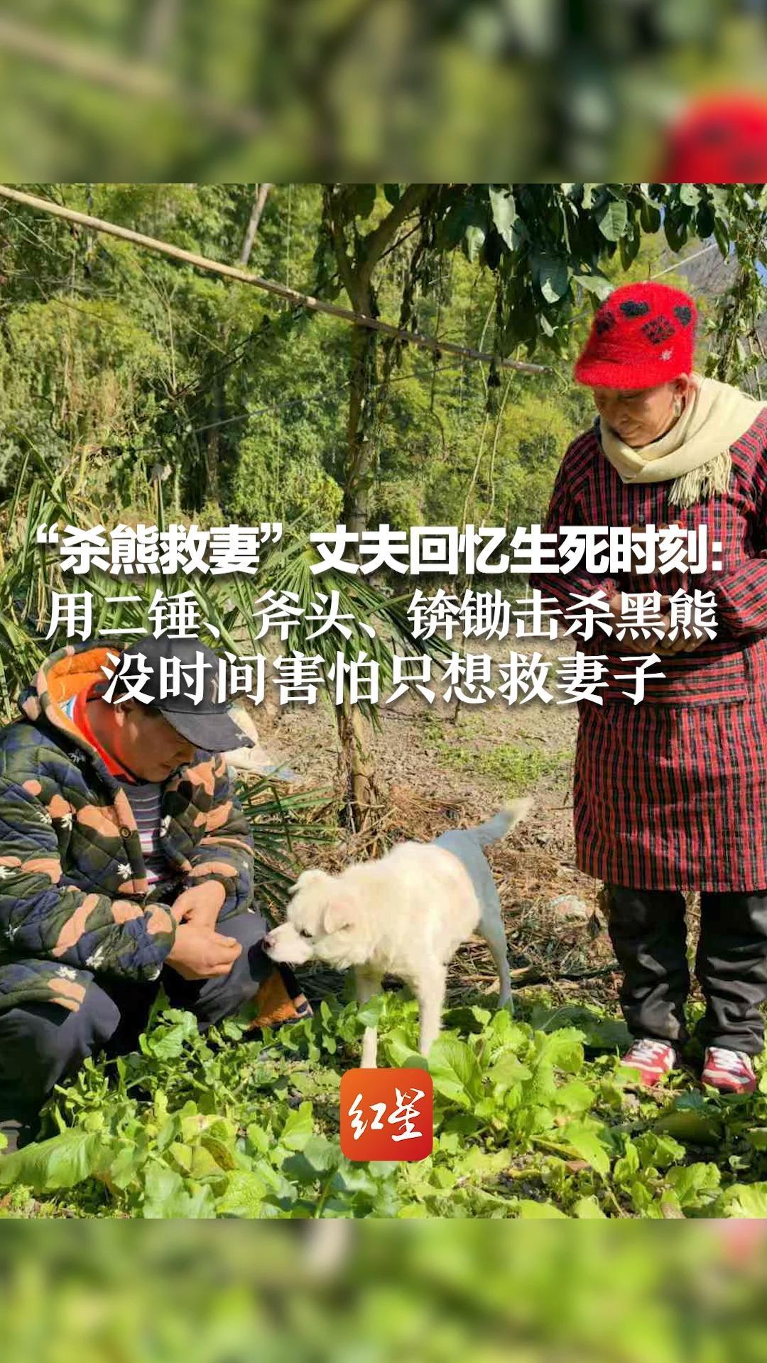 “杀熊救妻”丈夫回忆生死时刻：用二锤、斧头、锛锄击杀黑熊，没时间害怕只想救妻子