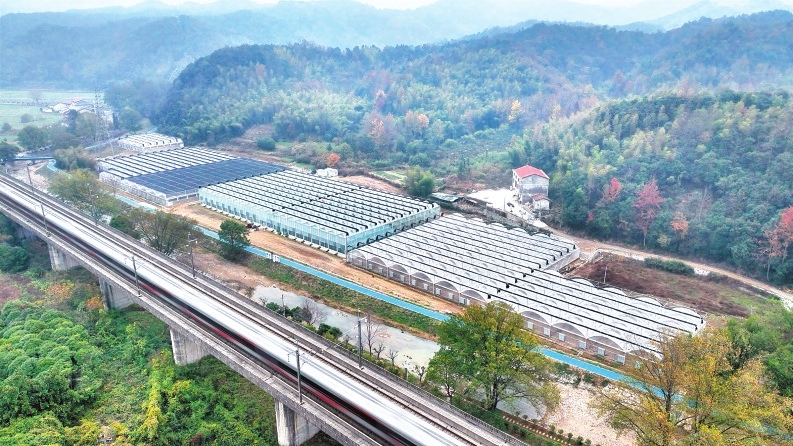 云溪区云溪街道清溪村现代农业示范园。