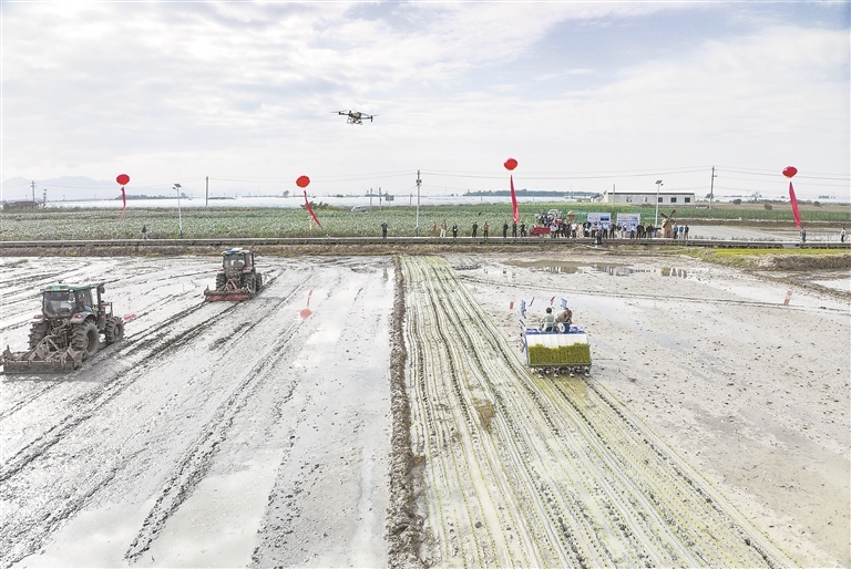 12月27日，在海南东方南繁水稻制种现代农业产业园，水稻耕种已实现全程机械化。