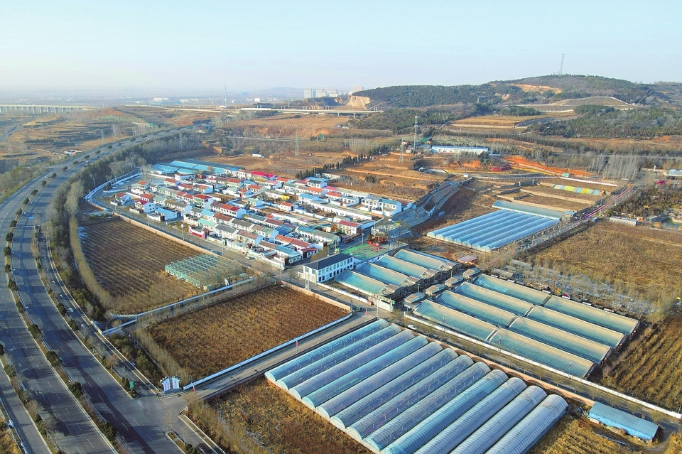 长治市上党区韩店街道桥沟村特色农业种植规模已达200亩