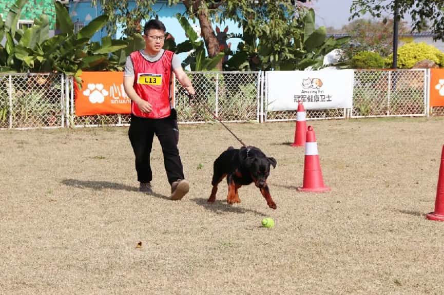 图:CKURK罗威纳展