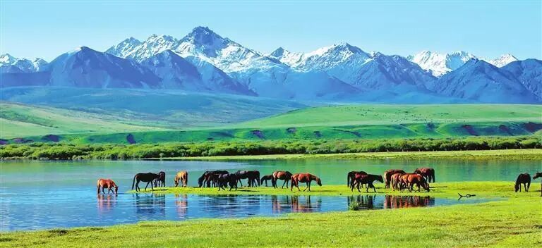 山丹马场　新甘肃&middot;甘肃日报通讯员　王超