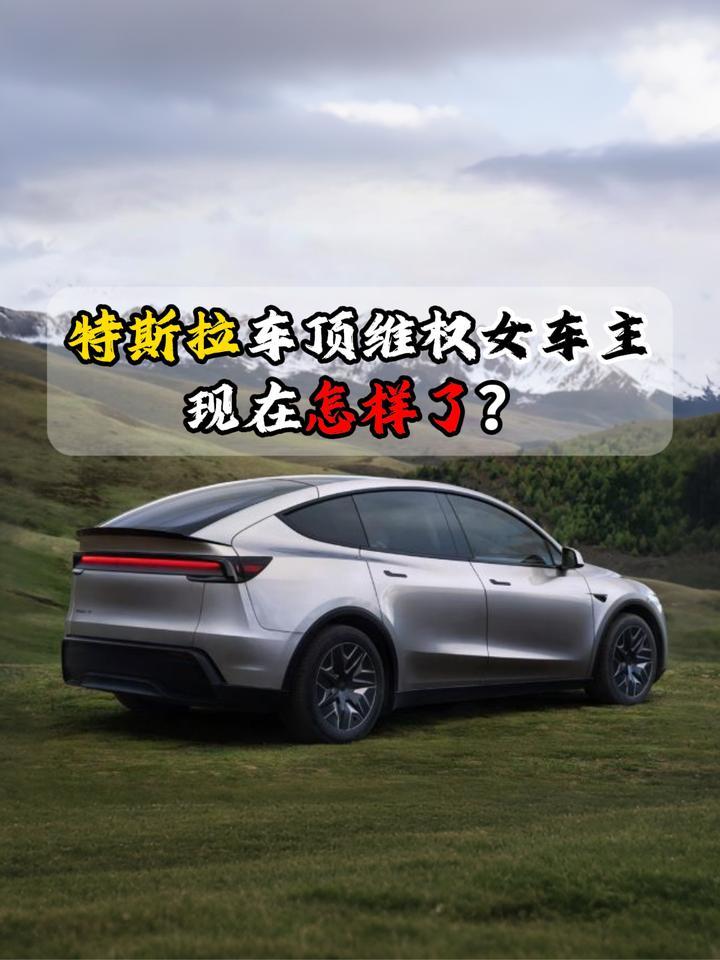 特斯拉车顶维权女车主现在怎样了？