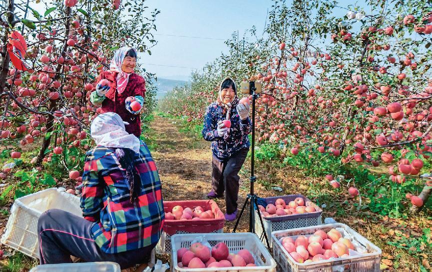 （电商直播赋能乡村振兴 摄于招远市大户陈家村）